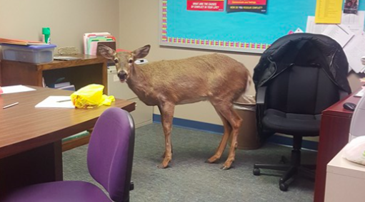 022616_DeerNJMiddleSchool