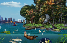 Limited - SWE Virtual Nature from Home