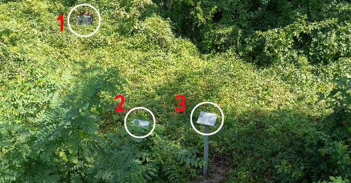 Deptford historical site