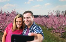 Limited - Destination Gettysburg PV1