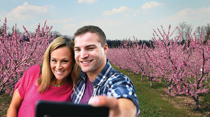 Limited - Destination Gettysburg PV1