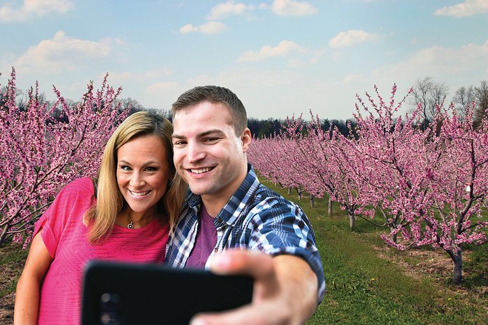 Limited - Destination Gettysburg PV1