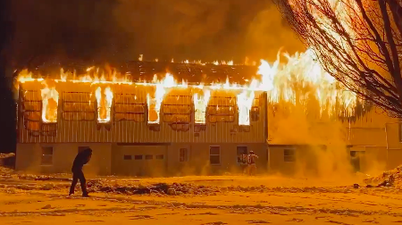 Dog rescue Barn Fire