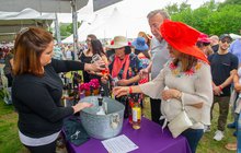 Limited - Down andDerby Wine Festival