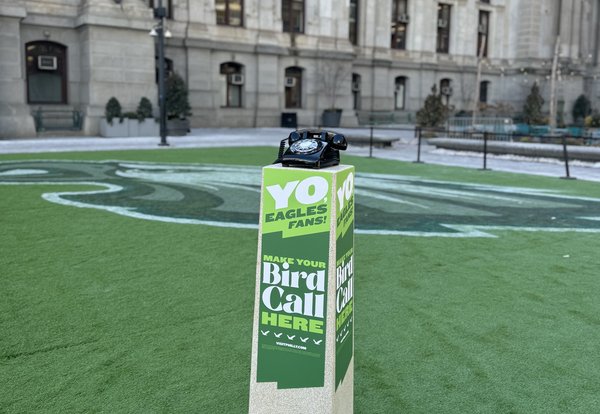 Eagles phones bird call