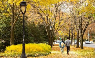 Fall foliage 2026