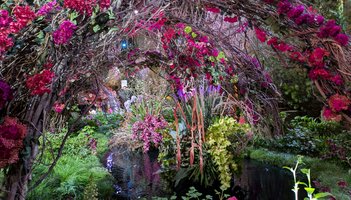 Flower Show entrance garden