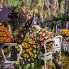 Flower show 2026 theme