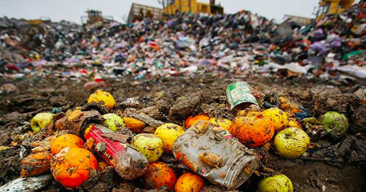 Food Waste Costs Billions Each Year, Impacts Climate Change | PhillyVoice