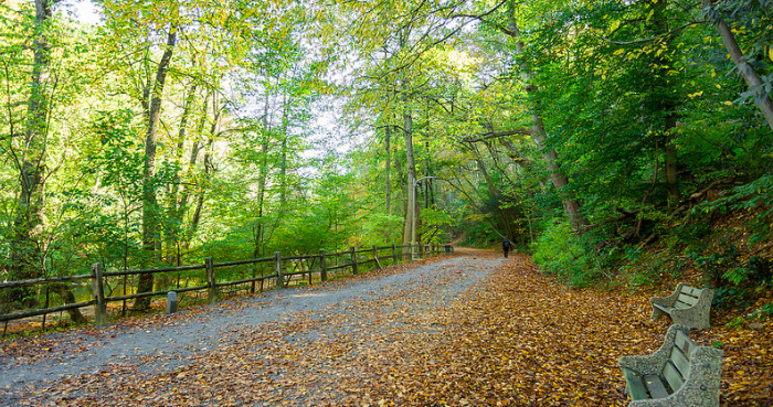 Philly's Forbidden Trail named best in Pennsylvania in 2018