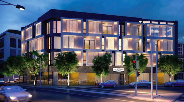 Giant heirloom bainbridge