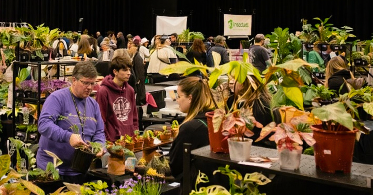 A massive houseplant marketplace is coming to Oaks for Plantella X