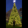 Glassboro Christmas Tree