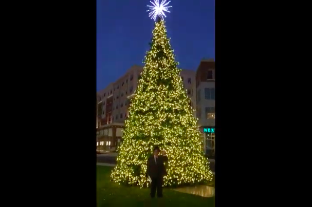 Glassboro Christmas Tree