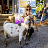 GoatoberFet - Philly Goat Project