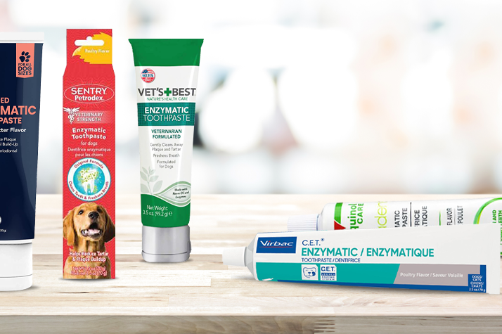 Limited - Green Living - Dog Toothpaste