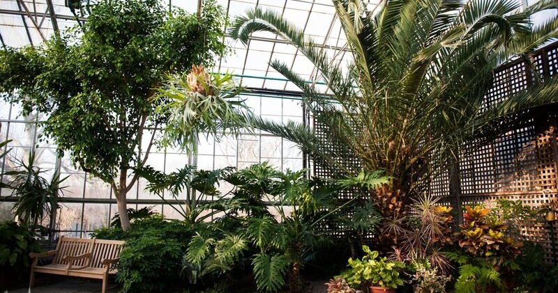 Escape to the warm, green Fairmount Park Horticulture Center during ...