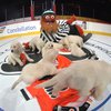 Gritty puppies hockey