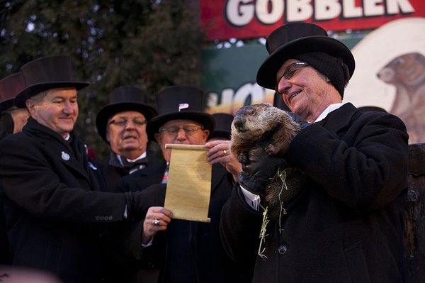 Punxsutawney Phil