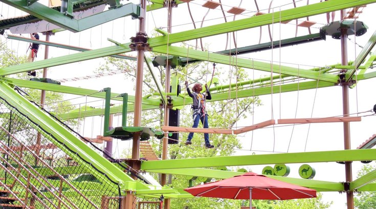 Dillon - Philly Zoo Wildworks