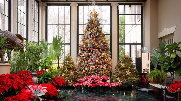 Winterthur Dried Tree in Conservatory