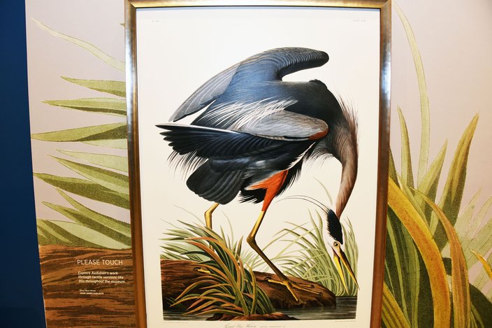 Dillon - John James Audubon Center