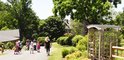 Dillon - John James Audubon Center