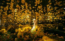 Limited - Happy Place Photo Flowers