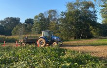 Visit NJ - Harvest_NorzHillFarm