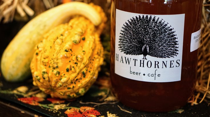 Hawthornes Great Cider and Beer Festival