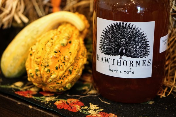 Hawthornes Great Cider and Beer Festival