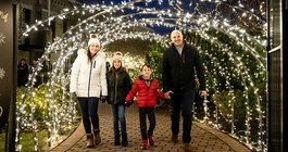 Limited - Hello Harford Winter Wonderland