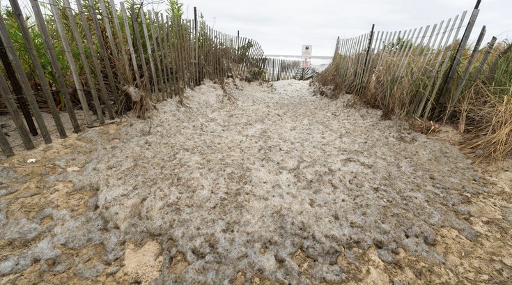 Hurricane Erin New Jersey