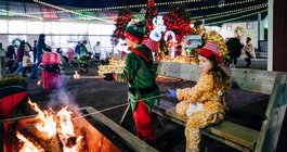 Shady Brook Farm - Light Show