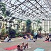 Yoga at the Horticulture Center