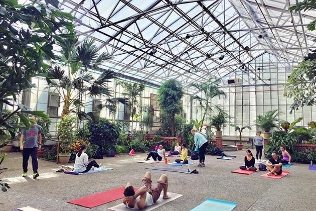 Yoga Garden Philadelphia / Welcome To The Yoga Garden Vinyasa Yoga In
