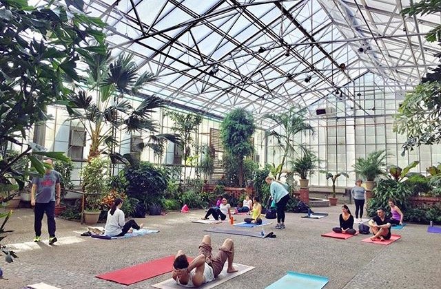 Centro de horticultura do parque Fairmount yoga
