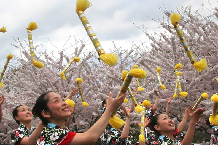 Cherry Blossom Festival brings Japanese culture to Philadelphia |  PhillyVoice