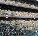 101426EaglesFansTottenham