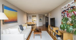 Limited - Allan Domb Independence Place - 241 6th street 1010