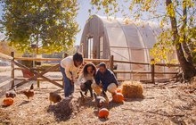 Limited - Visit NJ Fall Wows