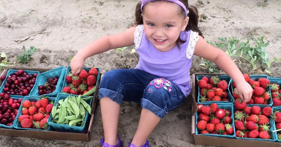 7 'pickyourown' farms in South Jersey PhillyVoice