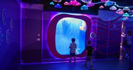 Kaleidoscope Cove Adventure Aquarium