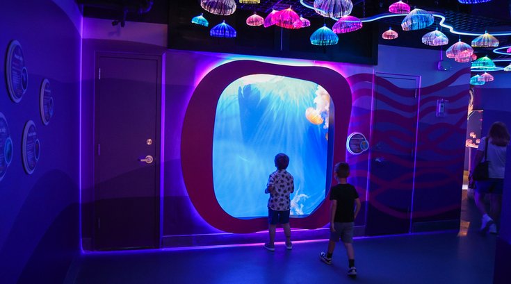 Kaleidoscope Cove Adventure Aquarium