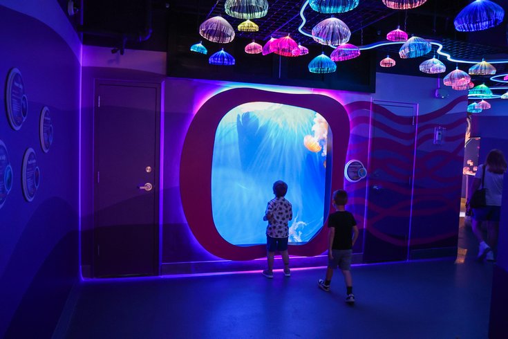Kaleidoscope Cove Adventure Aquarium