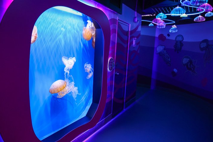 Kaleidoscope Cove Jelly Wall