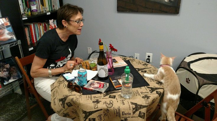 Kathy Jordan Le Cat Cafe