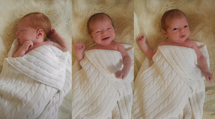 2Katie_Gagnon_Delivery