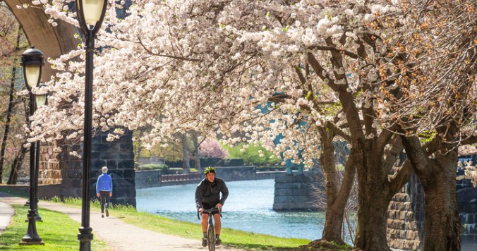 kelly drive bike trail