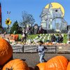 Linvilla Orchards - Pumpkinland
